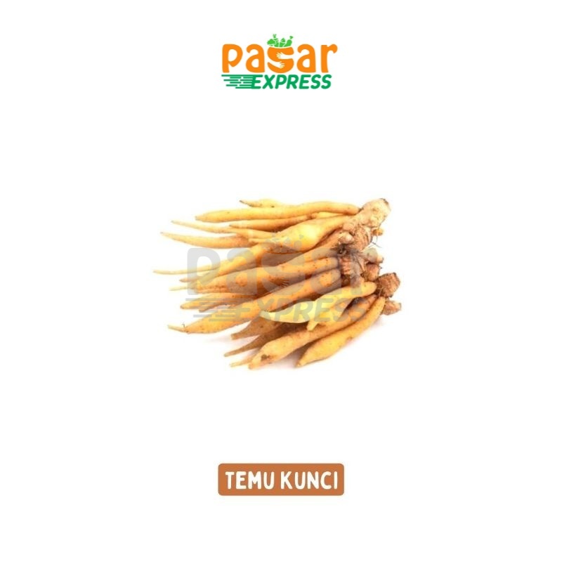 

[Pasar Express] Temu Kunci 250 Gram / Bumbu Rempah