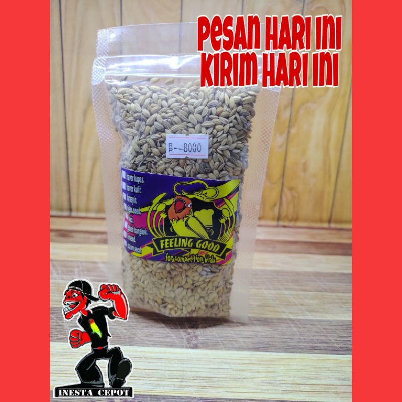 gabah lampung gabah pakan lovebird