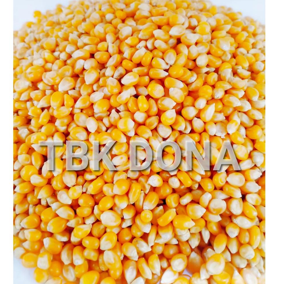 

[KODE X4926] Jagung PopCorn 1 kg