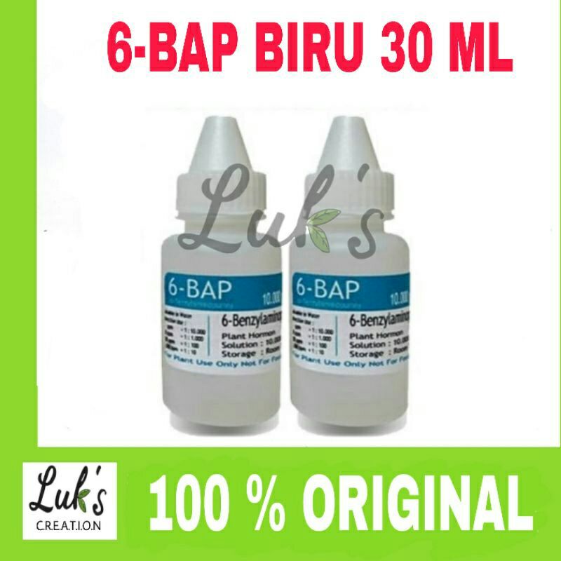 6 - BAP BIRU Benzylaminopurine hormon 6 BAP anggrek