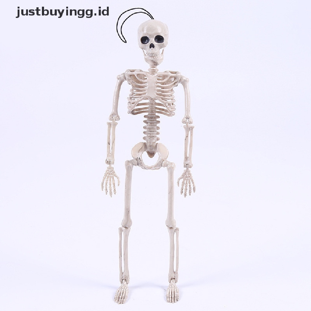 Tengkorak Pria Posable Untuk Dekorasi Pesta Halloween