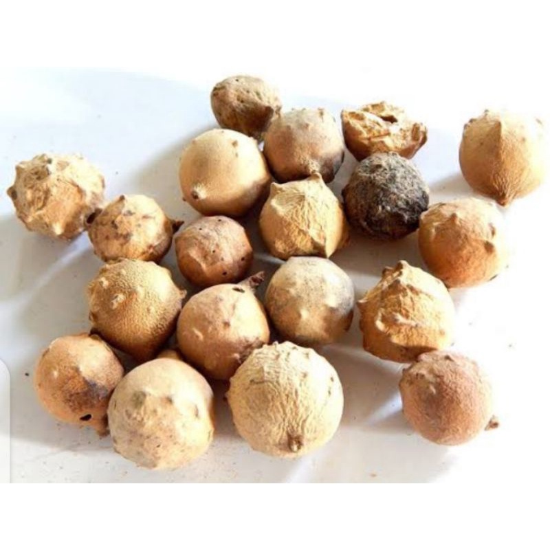 

Biji Majakani Putih 500gram
