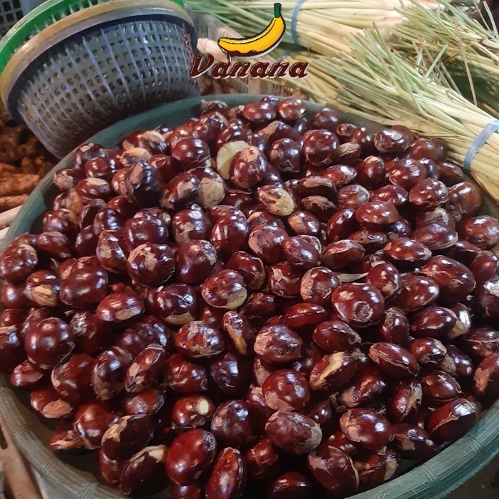 

VANANA Jengkol Tua 1/4kg (250gram)