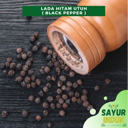 

Sayur Induk - Lada Hitam Utuh 100 Gram Premium Quality Fresh Grade A Black Pepper