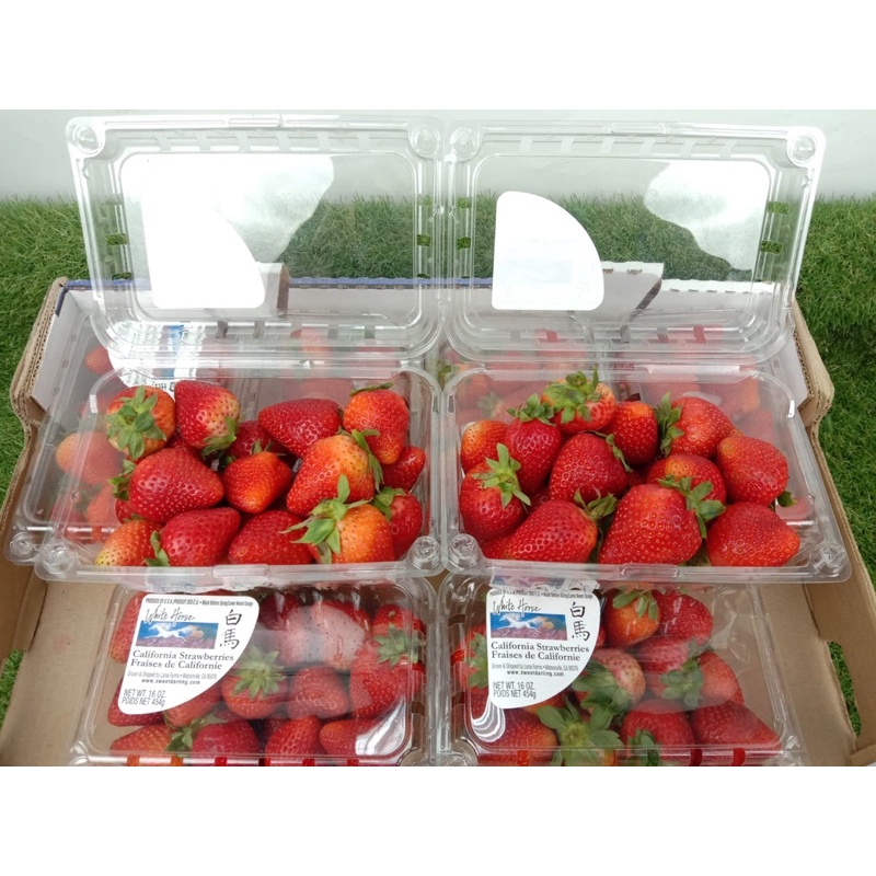 

Strawberry USA Wellpict 454 gram