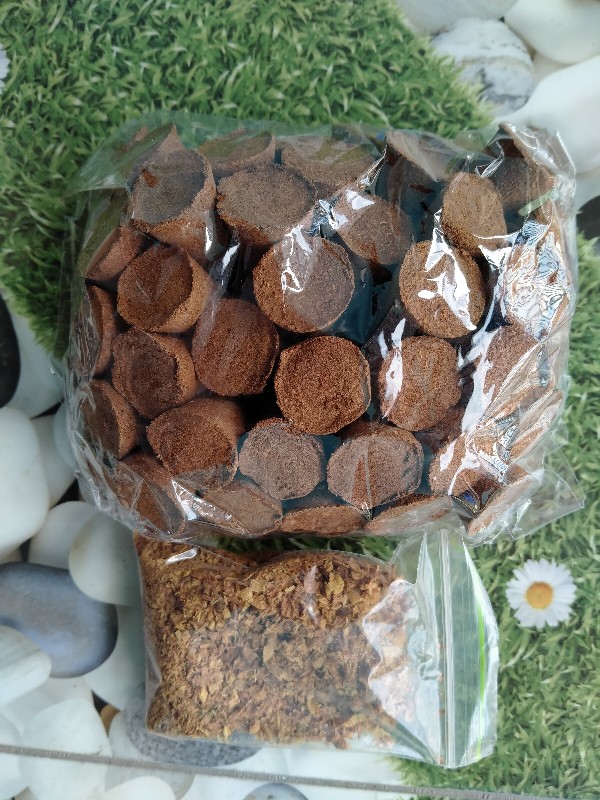 Dupa Kerucut Asli Gaharu Kalimantan Isi 50 Biji