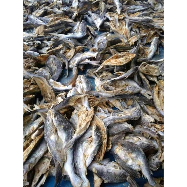 

ikan asin kating/lundu(ikan asin)