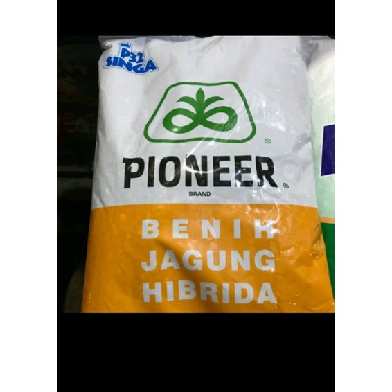 Bibit Jagung P32 5kg