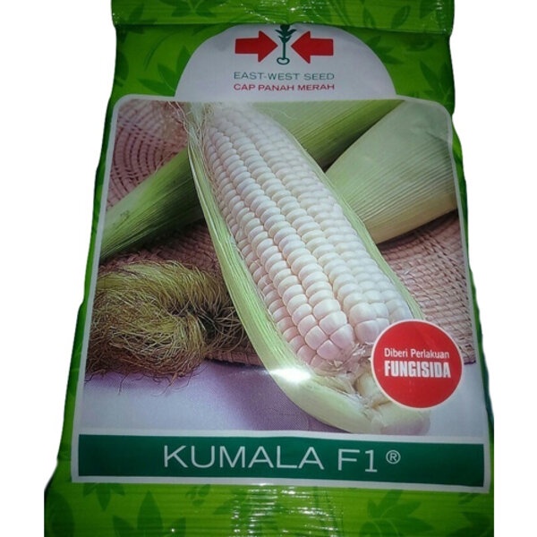 Benih Bibit Jagung Pulut Putih Kumala F1 250 gram Hibrida Panah Merah