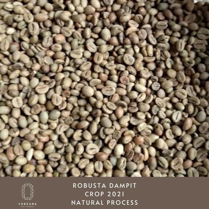 

[ COD ] Biji Kopi Robusta Dampit 1kg Greenbean TERBARU Kode 276