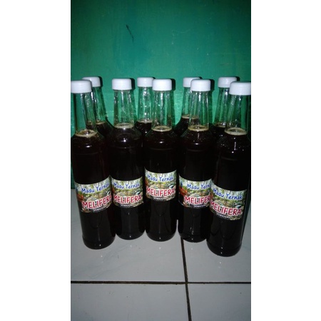 

Madu Melifera Sumatera | Madu Asli Sumatera | Bukan Madu Palsu