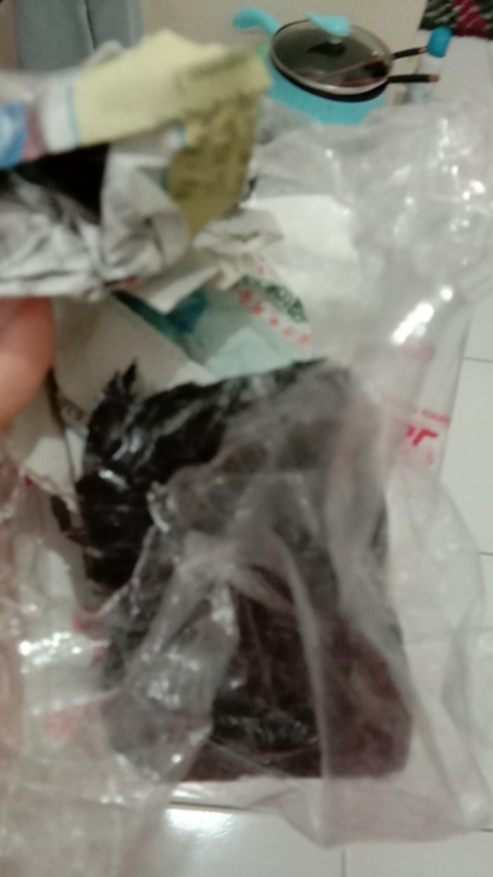 Deck Glass / Cover Glass Microscope 20x20