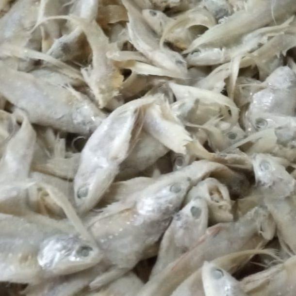 

[COD] ikan asin bulu ayam asin murah per 500gr [COD]