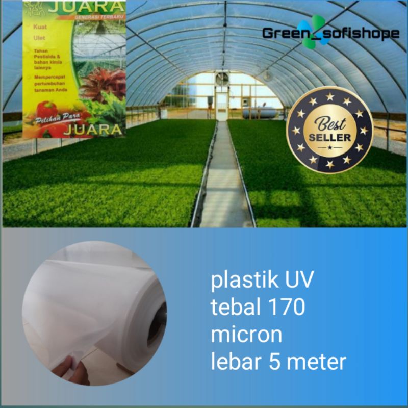 plastik UV lebar 5 meter/juara/uv14%