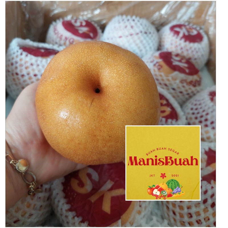 

pear korea buah fresh per dus