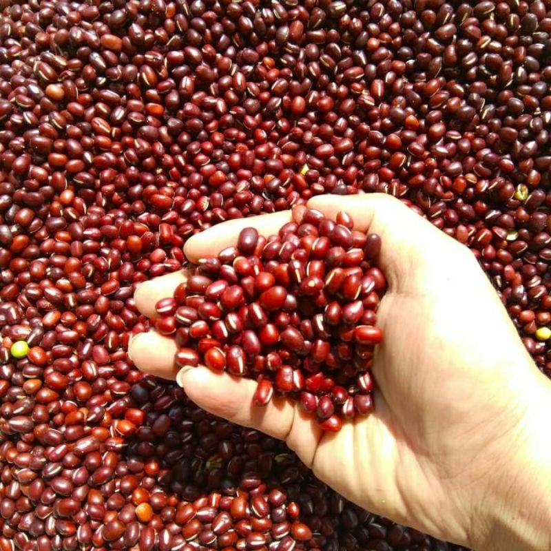 

Kacang Merah 500gram