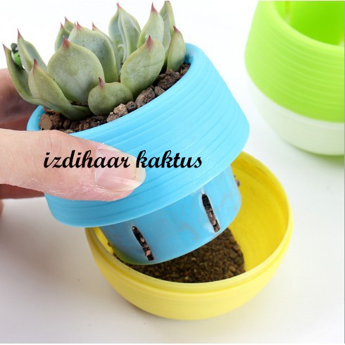 PAKET KAKTUS SUKULEN POT BUNGA MINI PLASTIK TEMPAT TANAMAN HIAS VAS BULAT UNTUK DEKORASI RUMAH