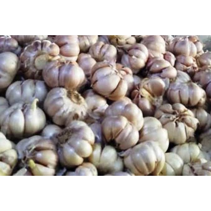 

Bawang Putih Kating 500gr