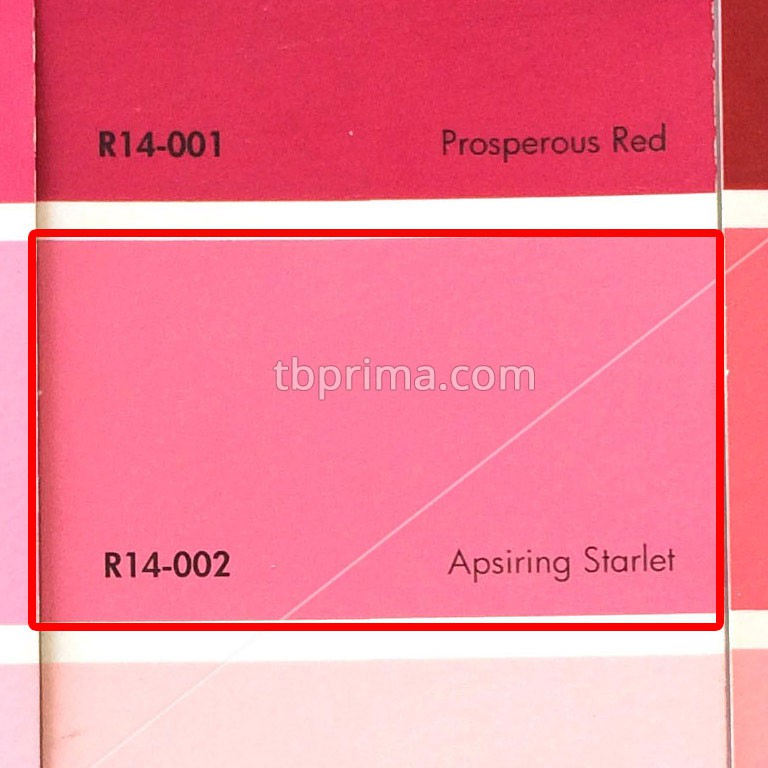 No Drop Tinting R14-002 Apsiring Starlet 1 kg