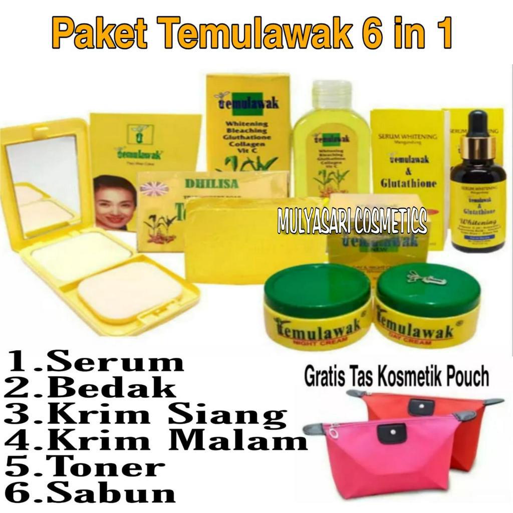 Paket Temulawak 6 in 1 Lengkap Murah / Paket Cream Temulawak 6 in 1 ( Serum,Bedak,Cream Siang &amp; Malam,Sabun,Toner )