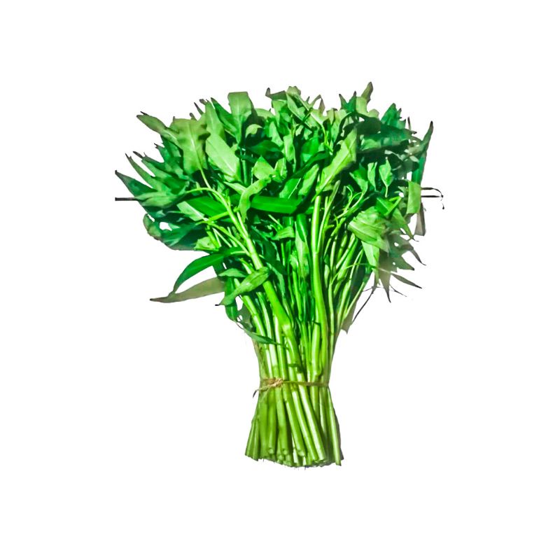 

Kangkung Segar 1 ikat