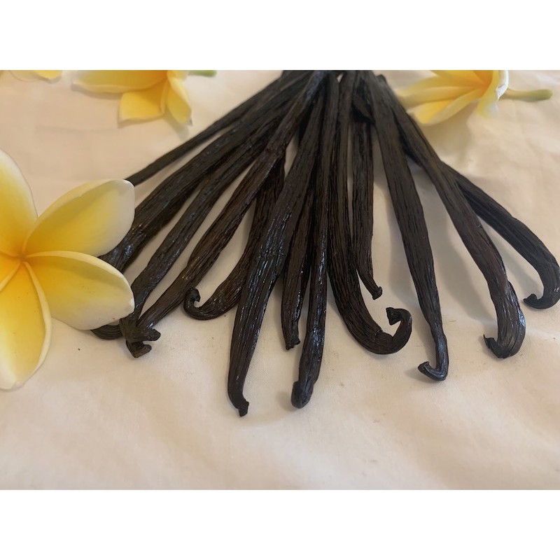 

VANILLA BEAN BATANG GOURMET GRADE A BERAt 20 gr