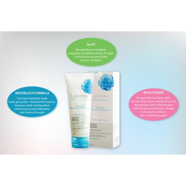 Luvital Facial Gentle Cleanser (BPOM)