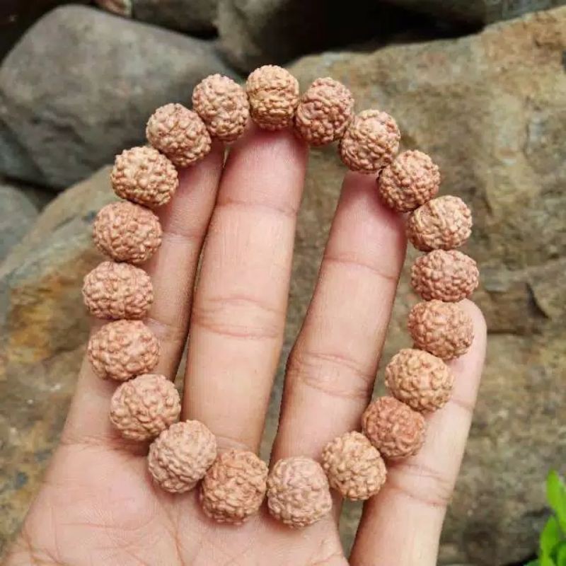 rudraksha jenitri mukhi 6