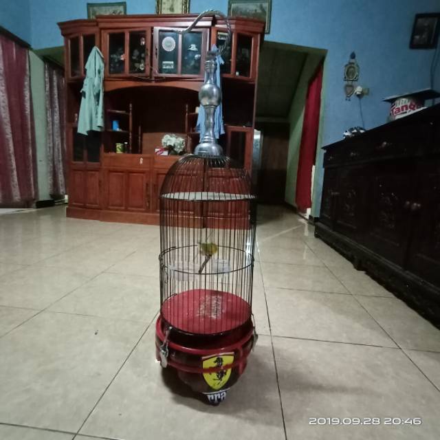 Sangkar helopet pleci