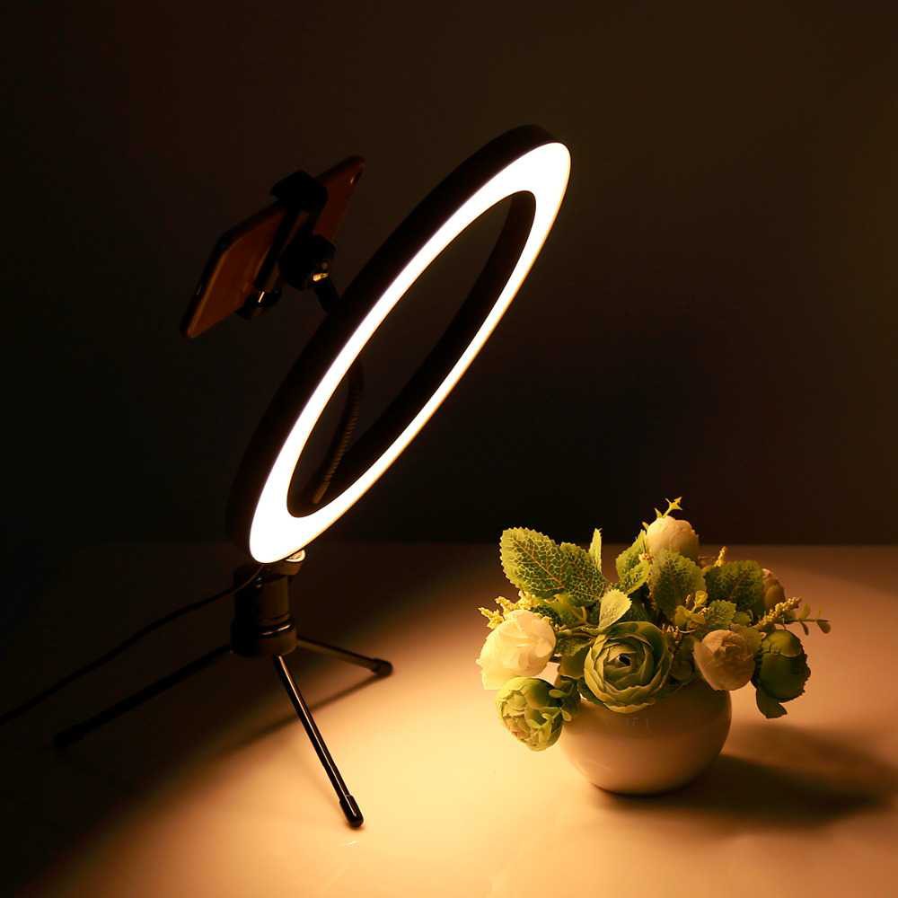 Lacyfans Halo Ring Light LED 120 LED 10 Inch Holder+Mini Tripod RL-128