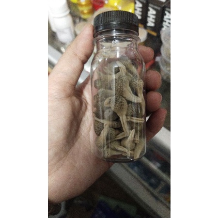 mpot putih/pot kecil