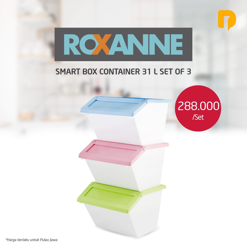 Roxanne Smart Box Container Set of 3
