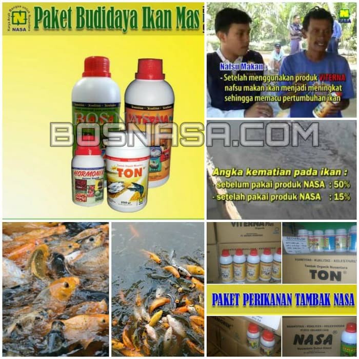 Paket Vitamin Budidaya Ikan Mas Terlaris