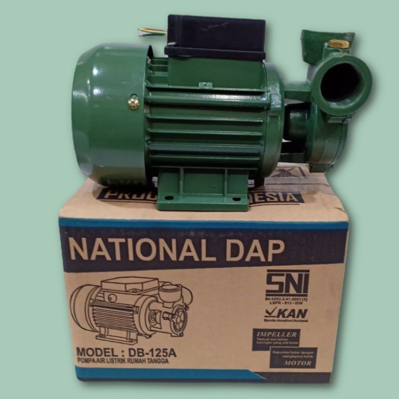 pompa air listrik National DAP db 125A pompa rumah tangga