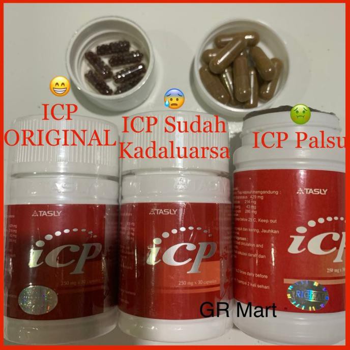 PROMO ICP CAPSULE TASLY OBAT JANTUNG STROKE HERBAL DANSHEN PLUS