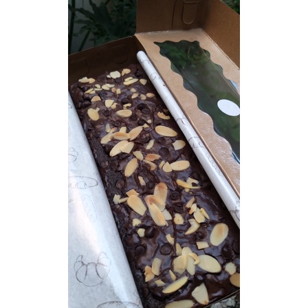 

brownies fudgy 28x10