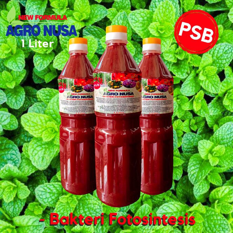 POC Bakteri Fotosintesis (PSB) Super Booster 1 liter utk Pertanian, Peternakan & Perikanan.