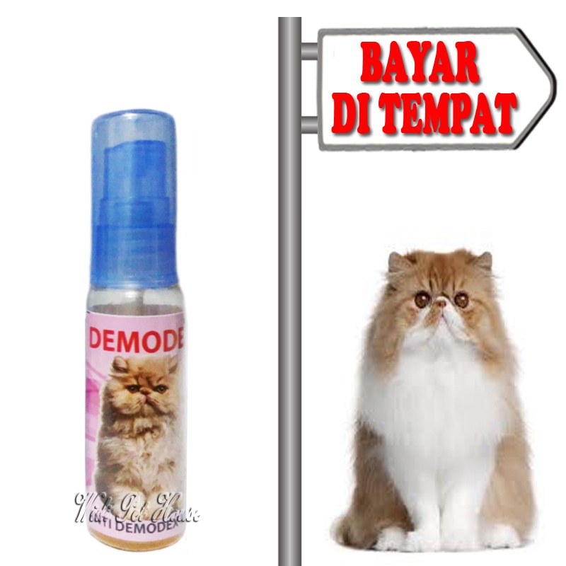 Obat Koreng Jamur Buduk Scabies Kucing Semprot Demodex