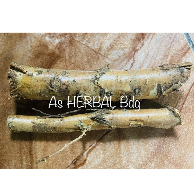 

Jual akar durian / akar pohon durian 100 gram-az