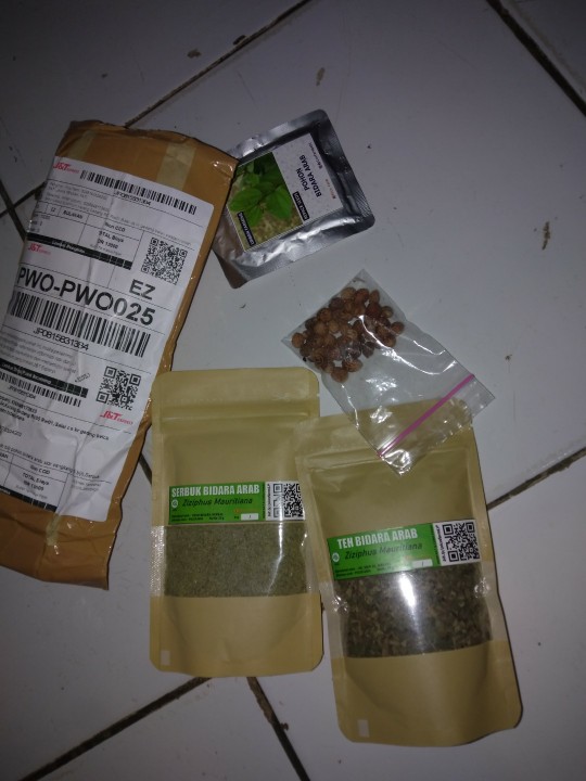 10 Benih Biji Pohon Bidara Arab