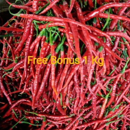 

Cabe merah Kriting uk 01 ons + Gratis Bonus