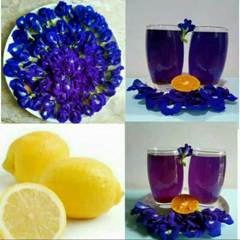 

teh bunga teleng kering 10 gr