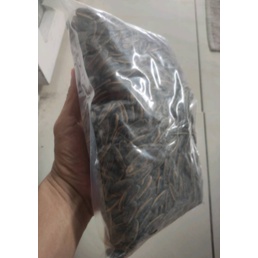 

〔POP〕Kuaci Biji Bunga Matahari 500GRAM - Sunflower Seed - kwaci matang