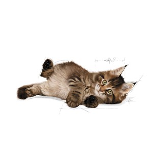 Image of thu nhỏ Royal Canin Kitten Maine Coon 400gr #2