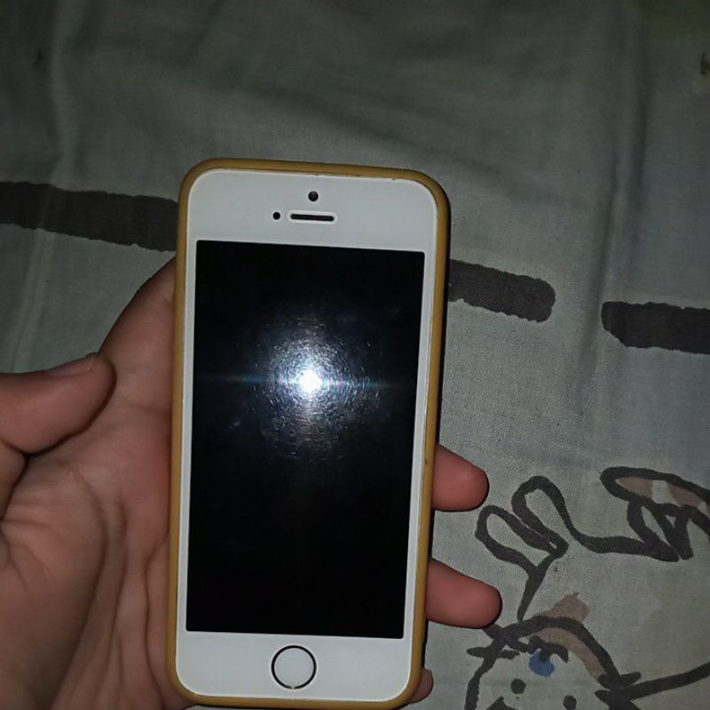 iphone5s 16gb