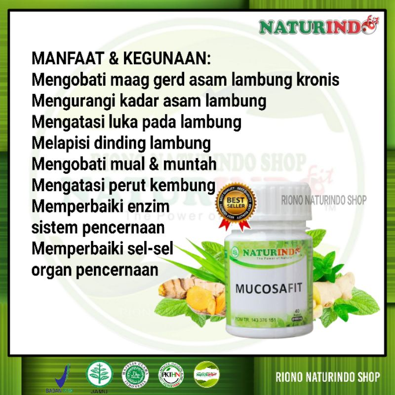 Obat Hebal Gerd Maag Asam Lambung Tukak Lambung Ampuh Mucosafit Naturindo Tulungagung-1