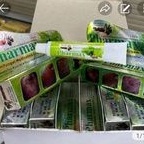 Pharmax  Antifungal Medicated Cream salep lidah buaya salep gatal gatal