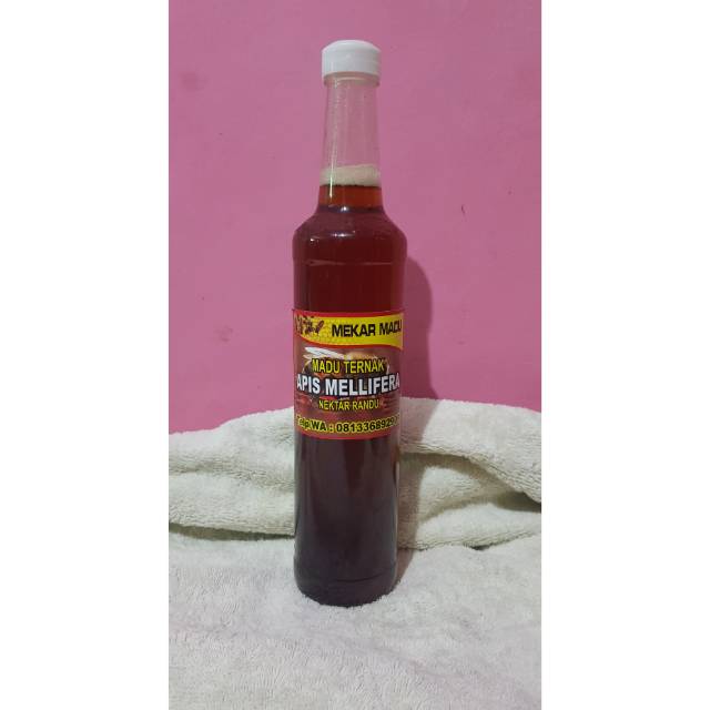 

MADU TERNAK HUTAN APIS MELLIFERA