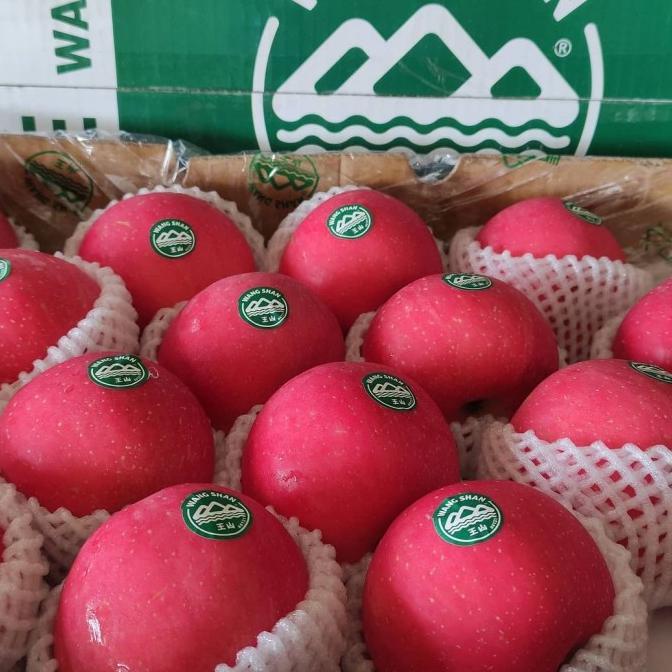 

APEL FUJI WANGSHAN PREMIUM 1DUS FH51515ED