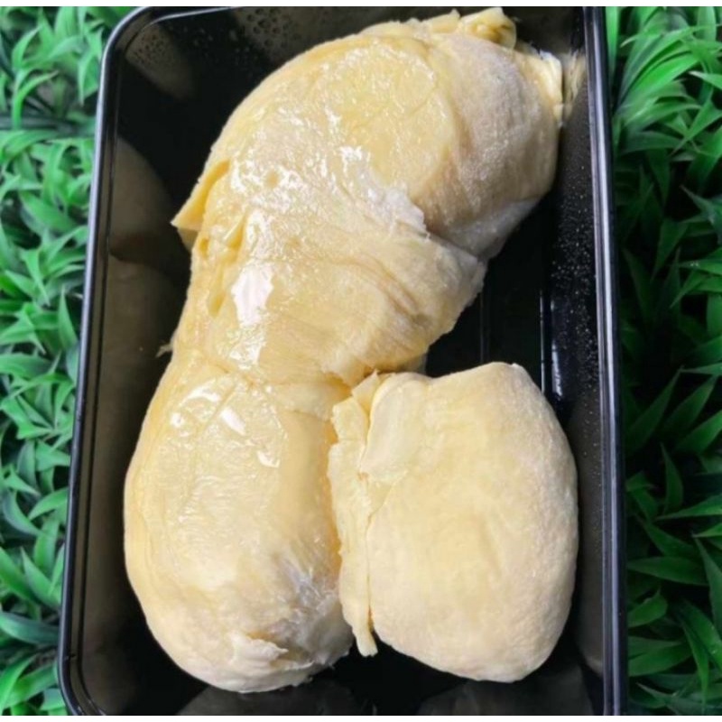 

durian montong palu 500gr super premium legit